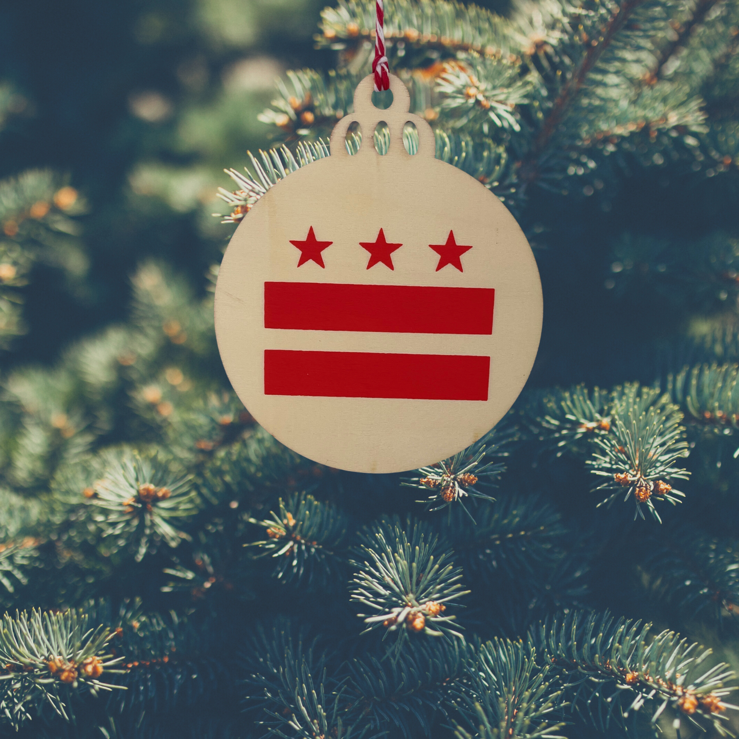 ornament - DC Flag