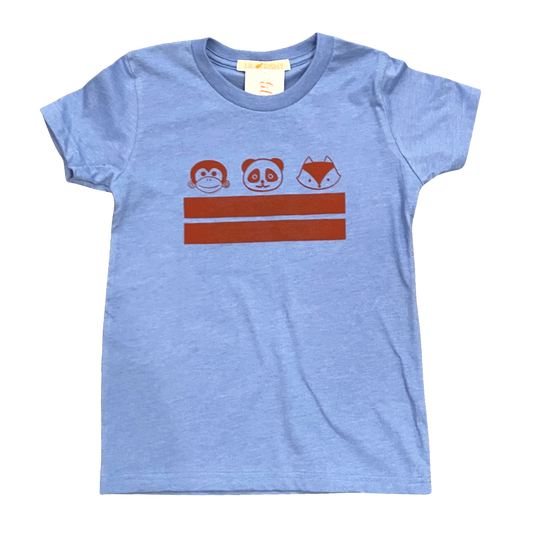 youth tee - DC flag