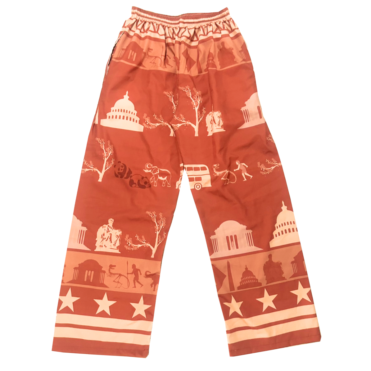 pants - DC