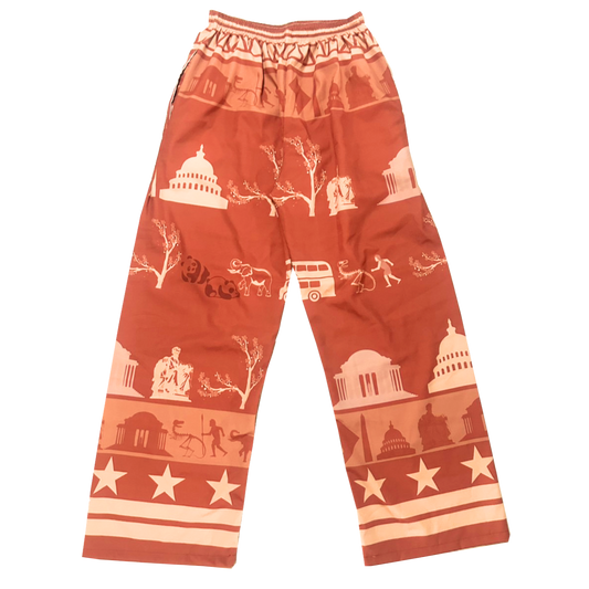 pants - DC
